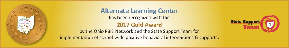 2017 Gold Award